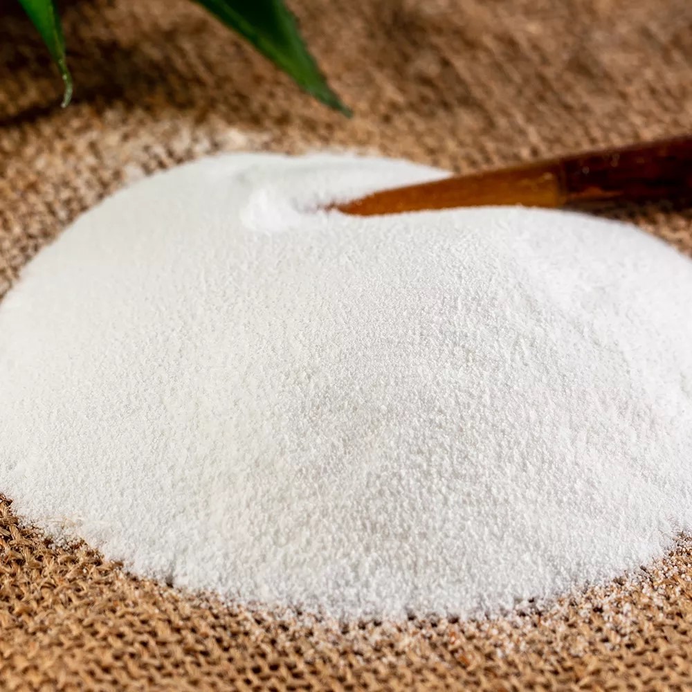 Oleamide powder